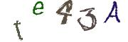 Image CAPTCHA