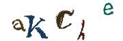 Image CAPTCHA