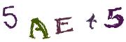 Image CAPTCHA