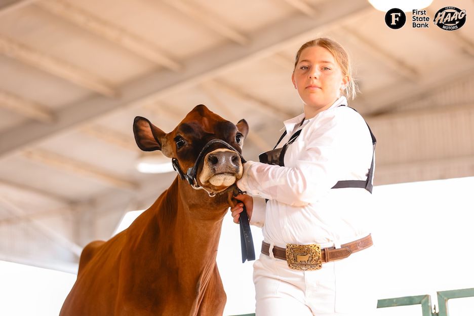 Mowrystown FFA member excels with dairy cow projects at the Highland ...