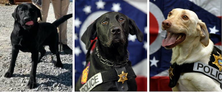 The Highland County Press - Staff Photo - Create Article
