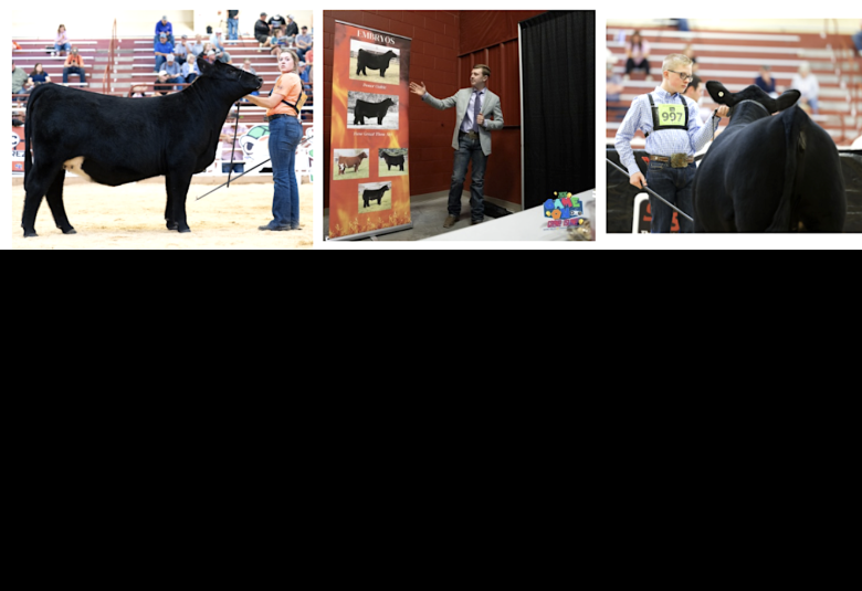 The Highland County Press - Staff Photo - Create Article
