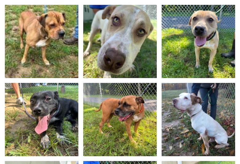 The Highland County Press - Staff Photo - Create Article